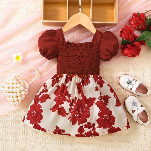 Floral Frill Baby Girl Trim Smocked Dress